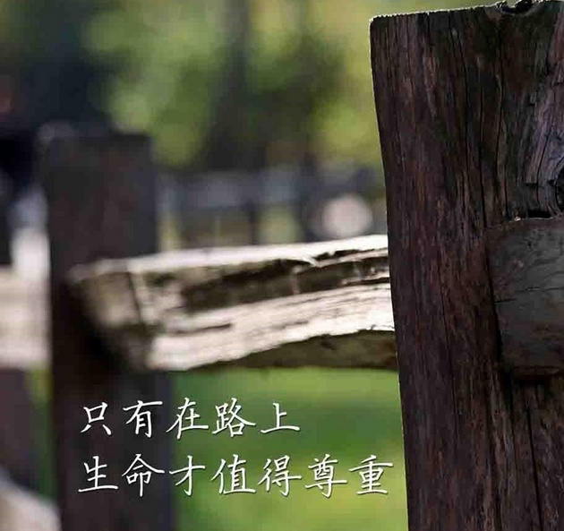 二维码名片